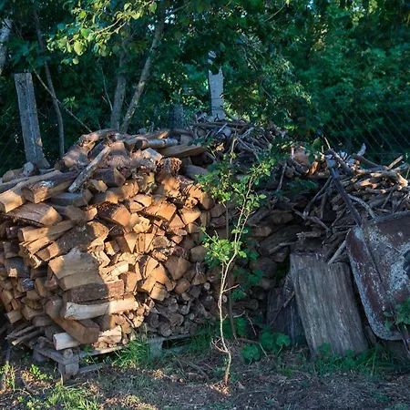 Séjour à la campagne Casa Adofreire Melgaço